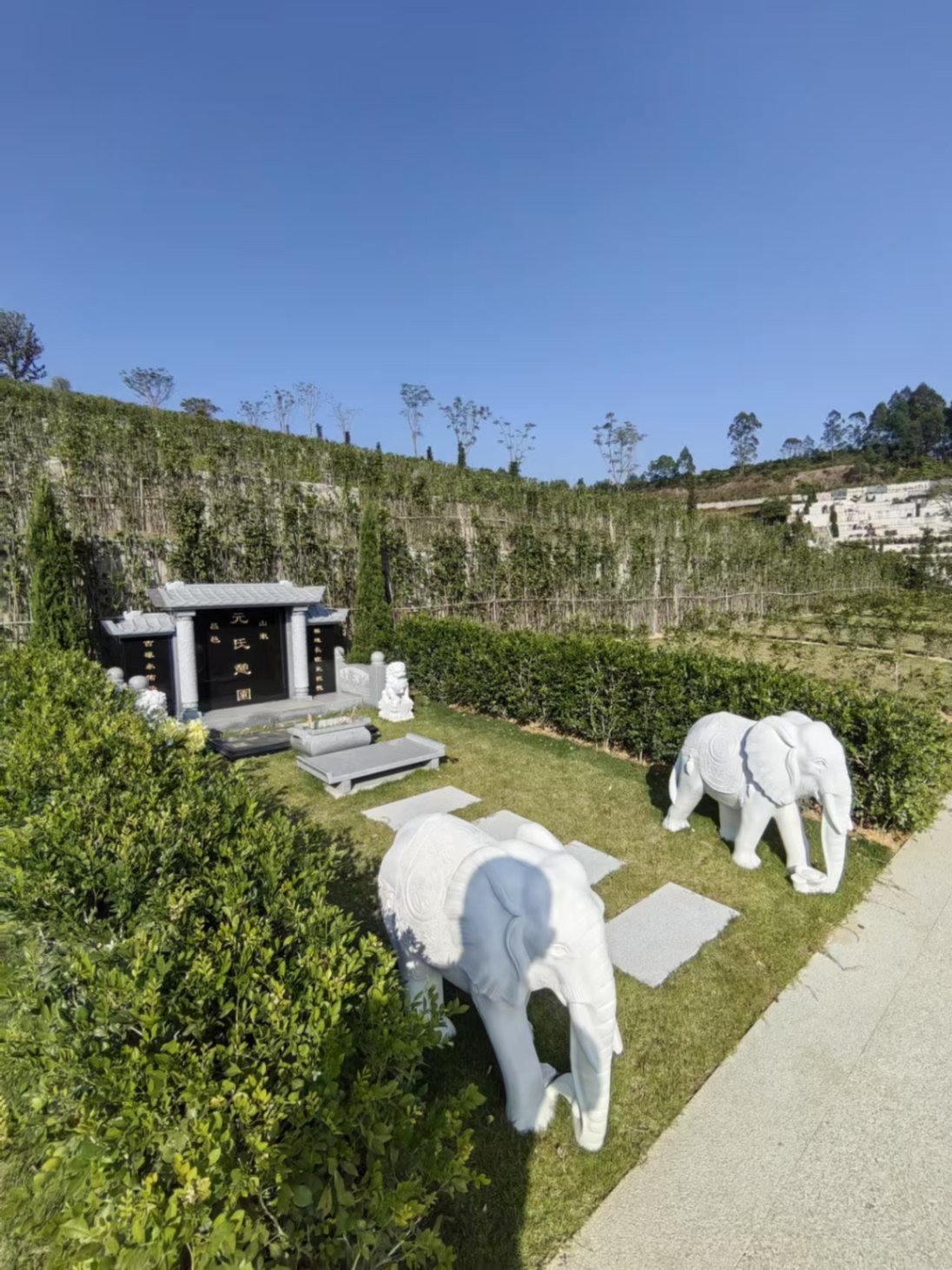 微信图片_20241226230615