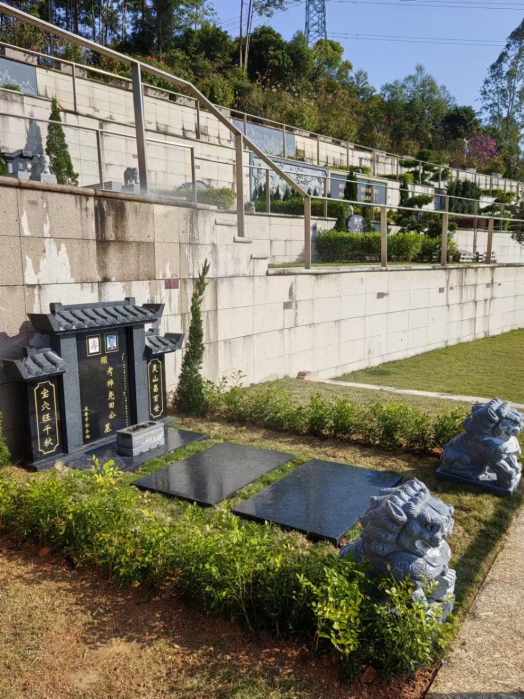 微信图片_20241226230629